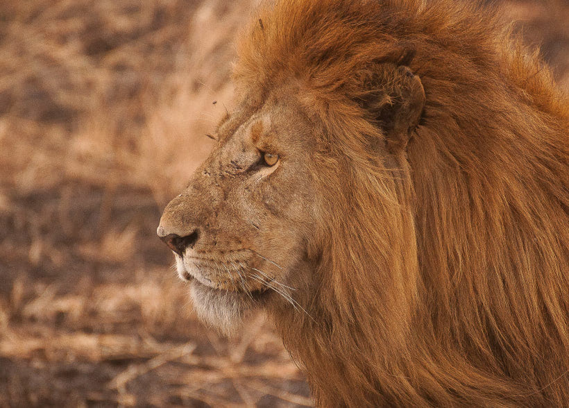 Youth Engagement Program Inspires Future Conservationists