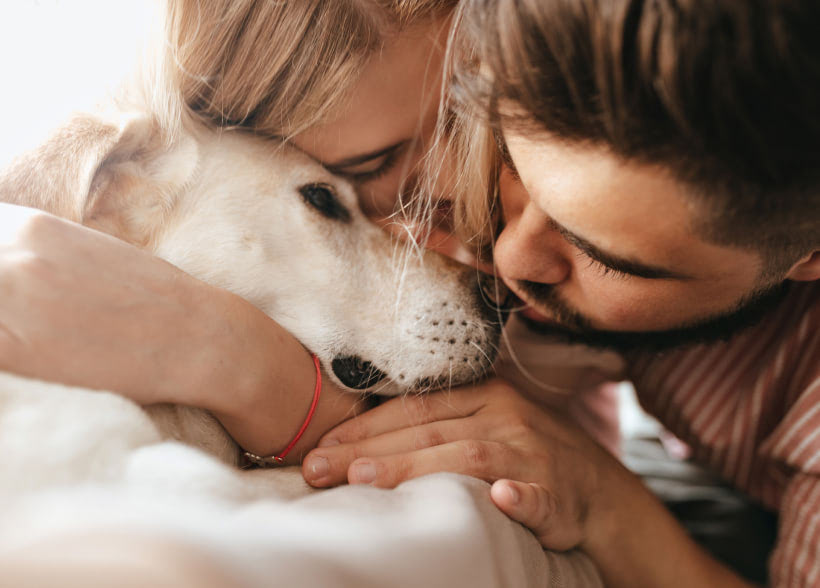 The Benefits of Regular Exercise for Pets: Keep Your Furry Friend Fit and Happy